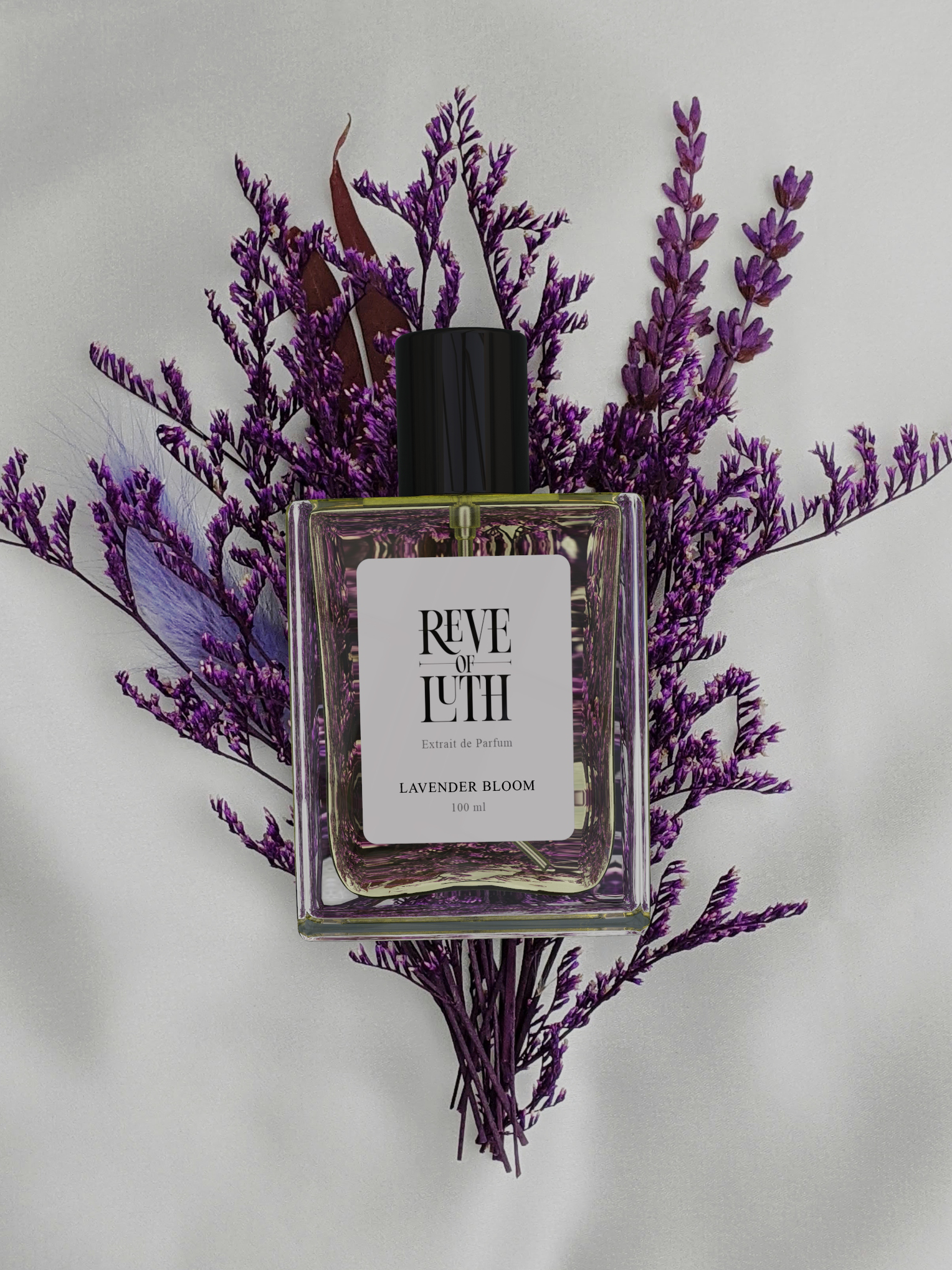 Lavender Bloom