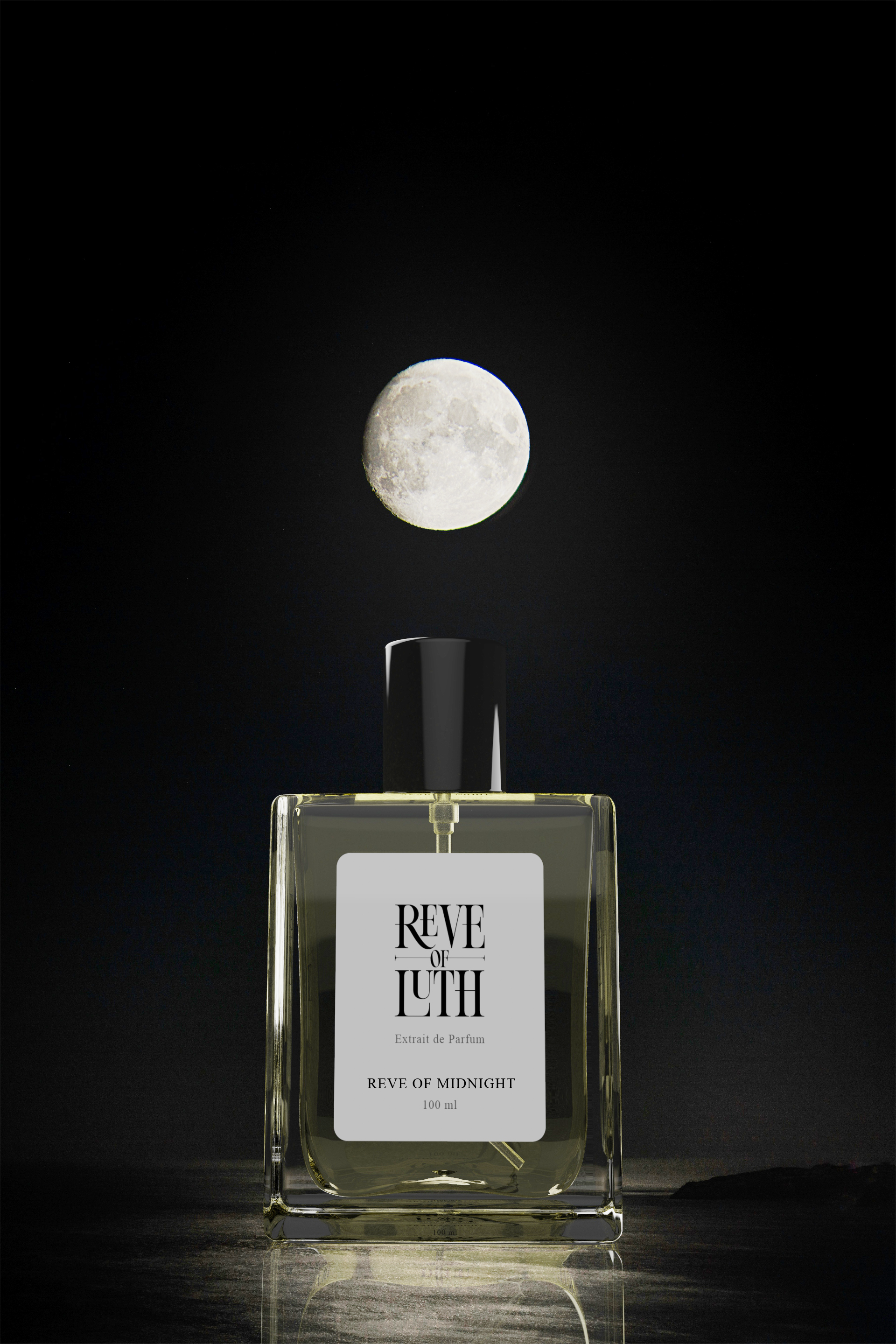 Reve of Midnight